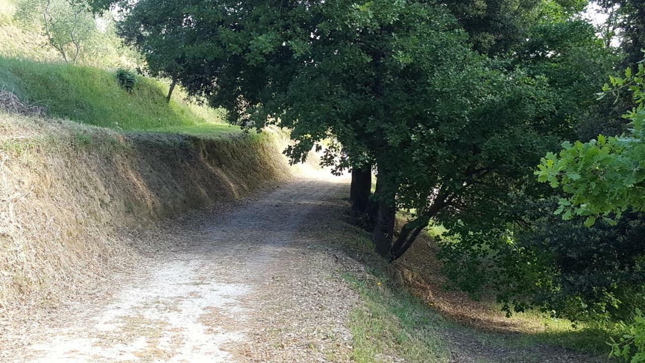 Agriturismo Le Querce Палая Екстериор снимка